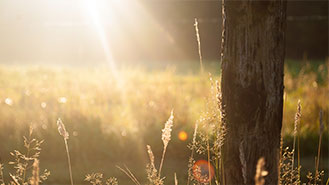 自动化运维的短信测压下载