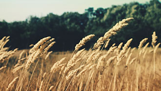 卡密代理一手的24小时不停呼叫软件