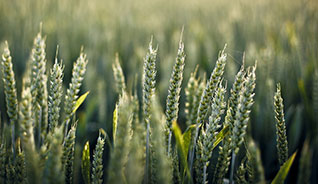 云呼电话测压网页版